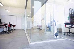 Progettazione di un ufficio Lely Center con pareti vetrate e aree operative