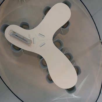 Tipolitografia Zardini10