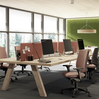 Tool_LT_039_1920x1080