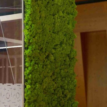 findomestic-1459-scaled-215589