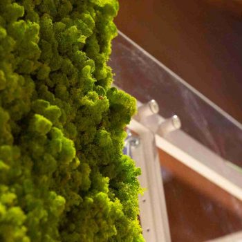 findomestic-1464-215595