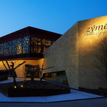 progetto-ristrutturazione-azienda-vinicola-208557