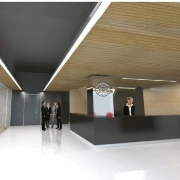 ristrutturazione-e-arredo-per-la-realizzazione-di-uffici-direzionali-210320